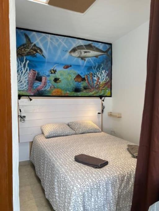 Acogedor Apartamento En 法马拉 外观 照片